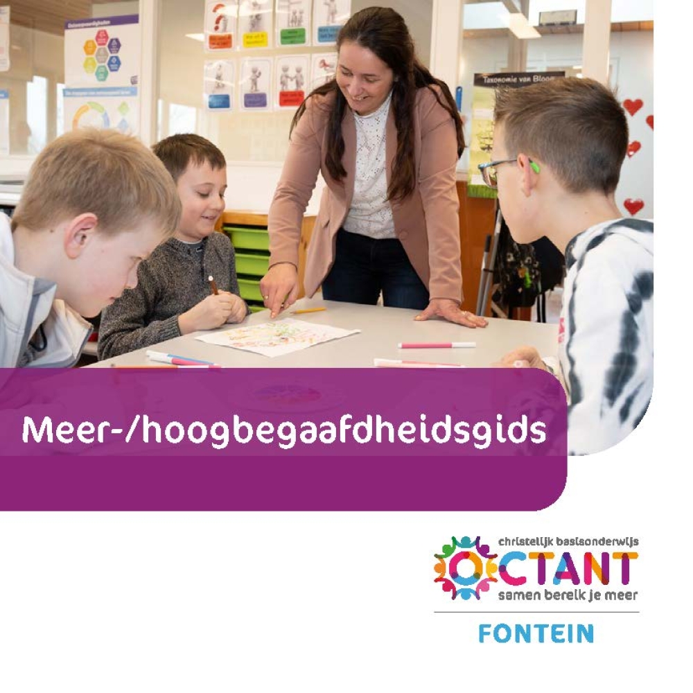 Meer- en hoogbegaafdheidsgids